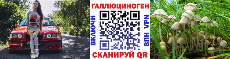 Псилоцибиновые грибы MAGIC MUSHROOMS  наркошоп  Ахтубинск 